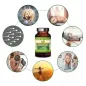 Preview: Bio-Ashwagandha - das Adaptogen