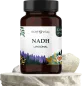 Preview: liposomales NADH 20 mg
