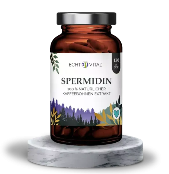 Spermidin 6 mg hochdosiert - 120 Kapseln