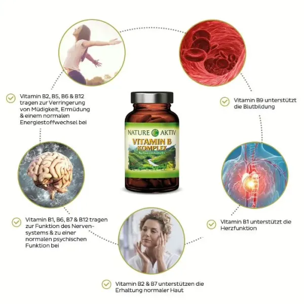 Preview: Die Eigenschaften des Vitamin B Komplexes