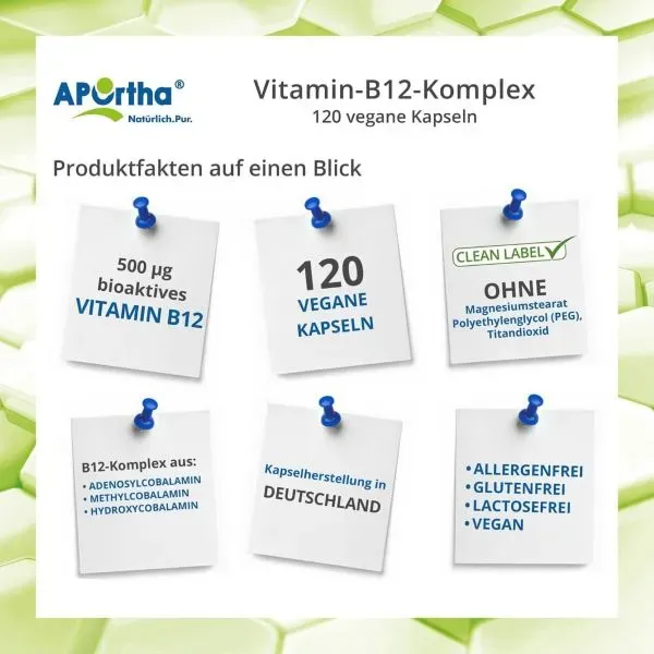 Preview: Die Inhaltsstoffe von Vitamin B12 - Komplex