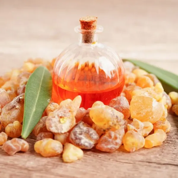 Preview: Das Harz des Boswellia serrata Baums