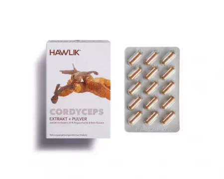 Cordyceps Extrakt + Pulver in einer Kapsel