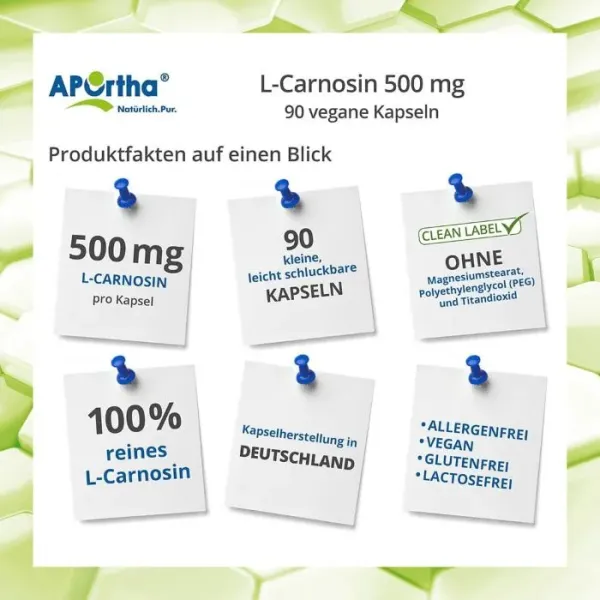 Preview: Produktinformationen zu L-Carnosin-Kapseln