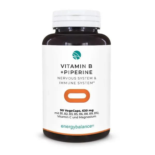 natürlicher Vitamin B Komplex