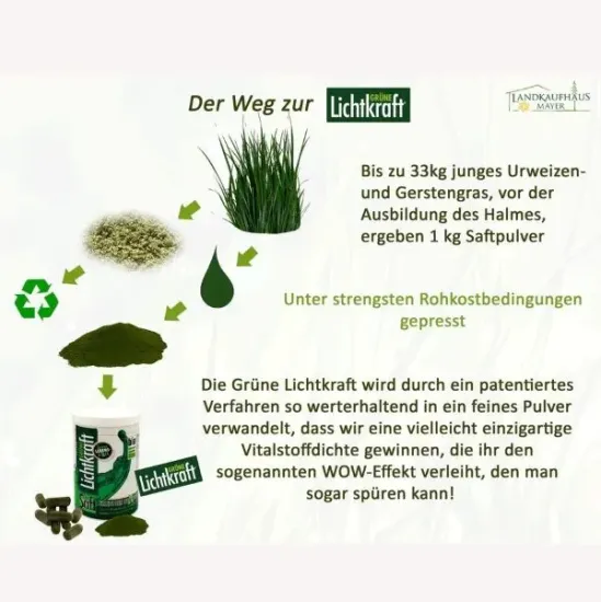 Grüne Lichtkraft Kapseln - der Weg vom Gras zum Saftpulver