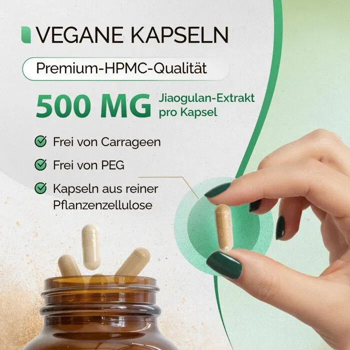 veganer Jiaogulan-Extrakt ohne Zusatzstoffe