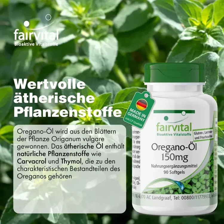Oregano-Öl-Kapseln mit hohem Gehalt an Carvacrol