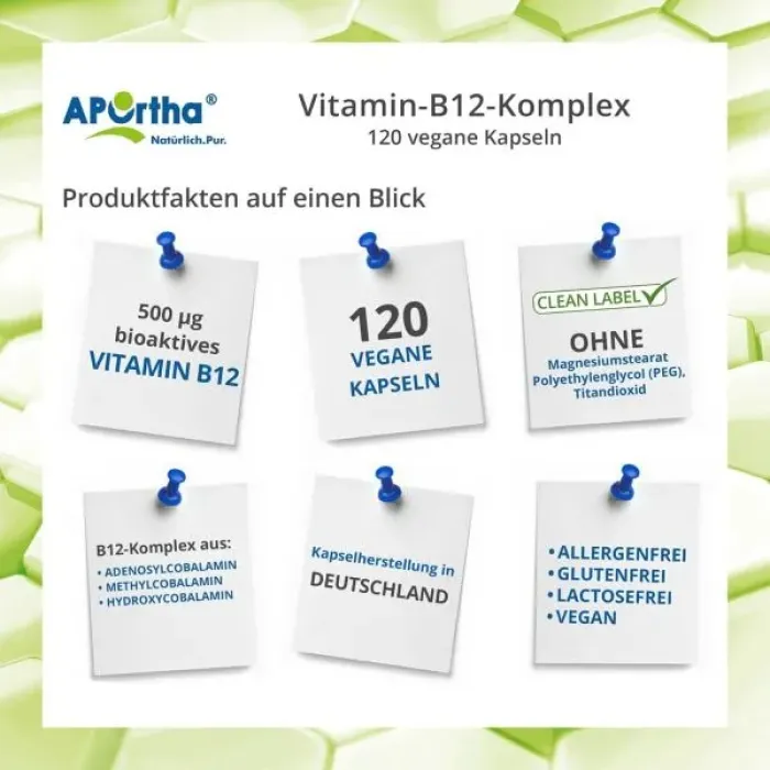 Die Inhaltsstoffe von Vitamin B12 - Komplex