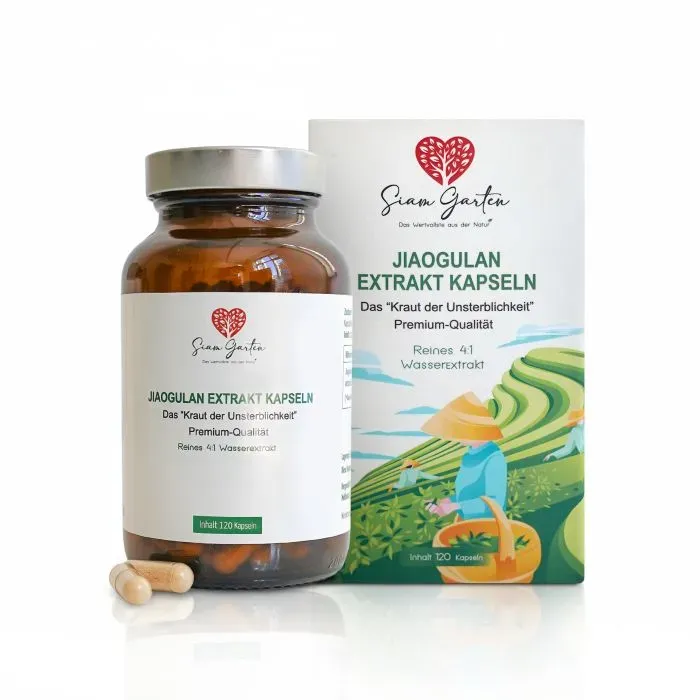 Jiaogulan Kapseln Extrakt Siam Garten - 120 Kapseln im Braunglas