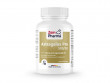 Astragalus Pro mit 50 mg Astragaloside IV - 60 Kapseln