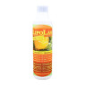Liposomales flüssiges Vitamin C 3000 hochdosiert - 500 ml